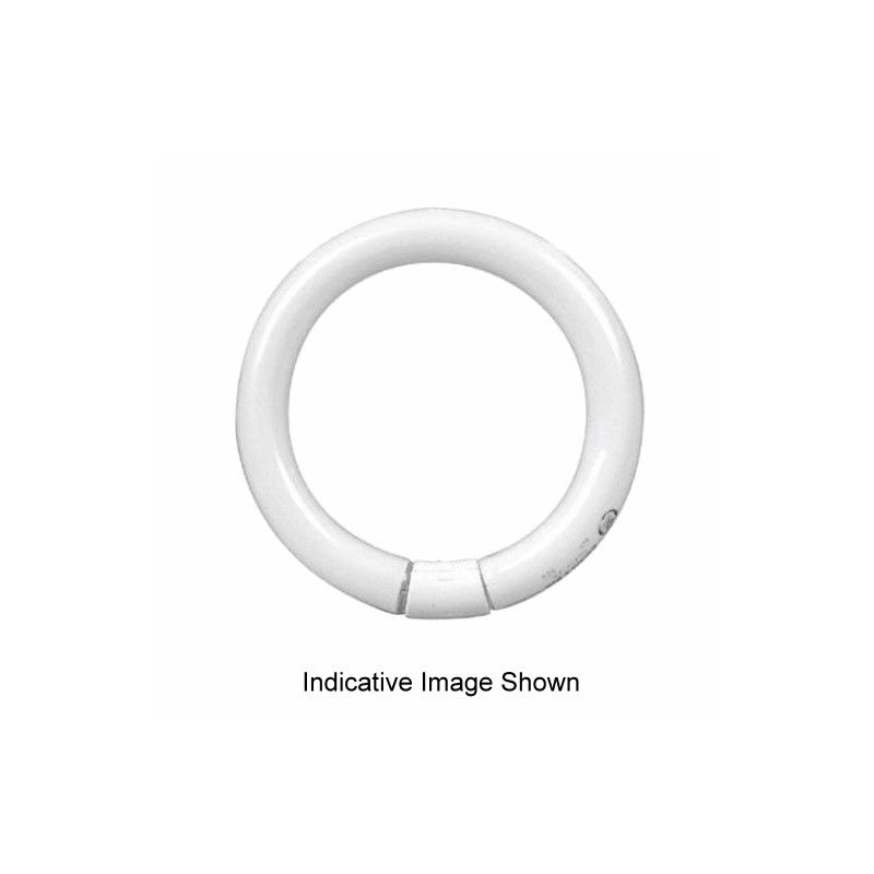 2x 32W G10q 4-Pin T9 Circular Fluorescent Bulbs – 300mm Ring Light, Warm White (3500K-4100K)