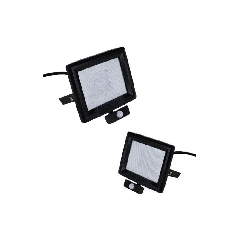 Robus 30w led floodlight hot sale
