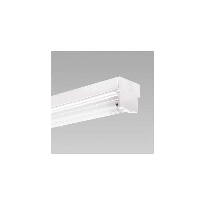 Bare batten fluorescent online