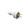 A00006782.png thumbnail