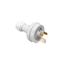 A00042721.png thumbnail
