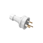 A00042761.png thumbnail