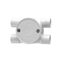 G00000321.png thumbnail