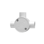 G00000392.png thumbnail