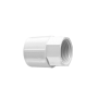 G00000787.png thumbnail