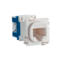 J0001893.png thumbnail