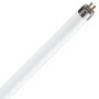 Philips_TL5XXW8XXHO.jpg thumbnail