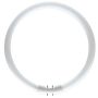 Philips_TL5_Circular.jpg thumbnail