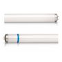 Philips_TLD15W_Secura.jpg thumbnail