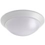 Robus_Oyster_LED.jpg thumbnail