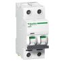 Schneider_Acti_9_iC60_2P.jpg thumbnail