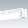 ThornEco_96649386.jpg thumbnail