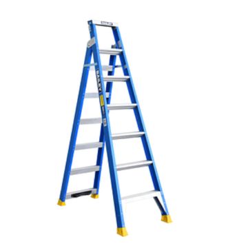 Dual Purpose Ladder FG w/Pole Support 2.1-3.8m 4.8m