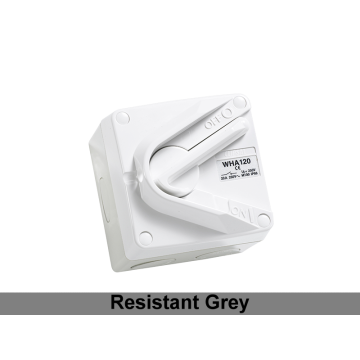 Isolating Switch Surface W/P 1P 20A 250V ChemGry IP66