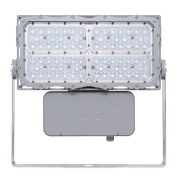 LED Floodlight 124W 4K NW 70CRI Wide PC Lens IP66/67