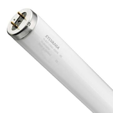 Tube Fluorescent Philips 40W Jaune T12 120cm G13 - Lumière Ambrée