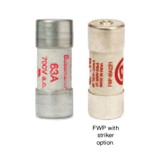 Bussmann_FWP_22F.jpg