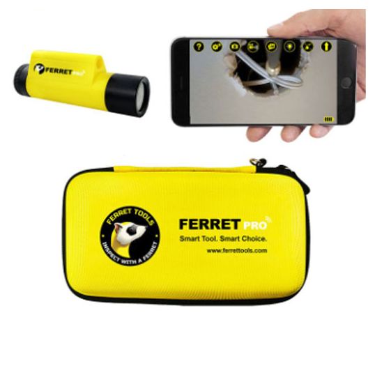 Ferret\Ferret_CFWF50B.jpg