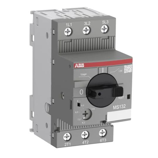 ABB_MS132-16.JPG