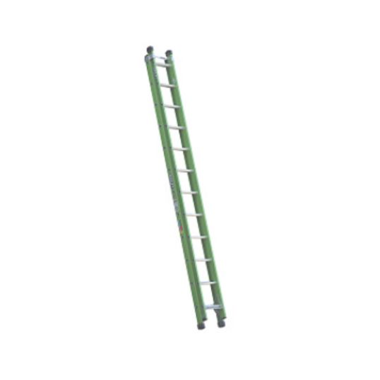Bailey_FS13919.jpg