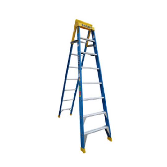 Bailey_FS13987.jpg
