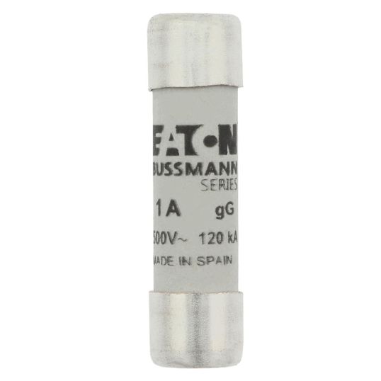 Bussmann_C10G1.JPG