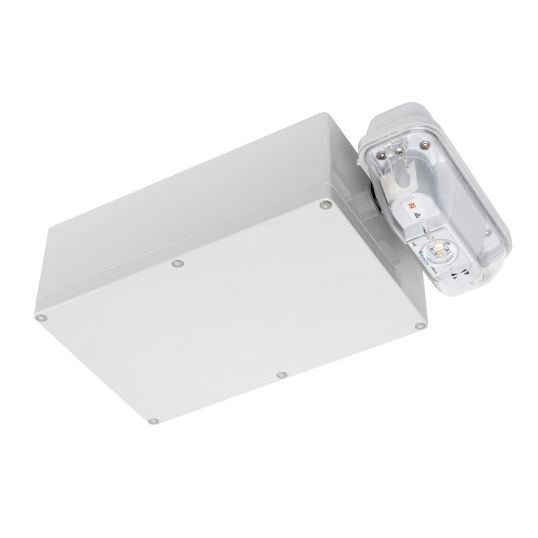 Clevertronics_LWPLIFEPROWPPODZW.jpg