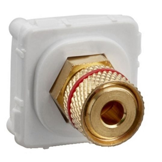Clipsal_30BCRMWE.jpg