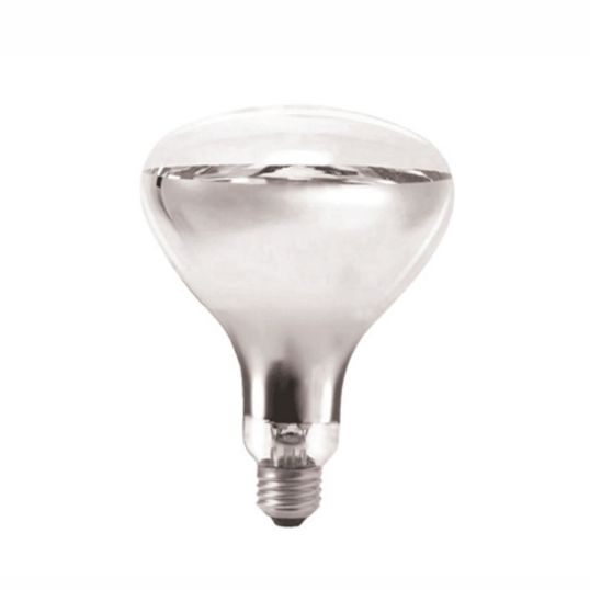 Energetic_252028.JPG