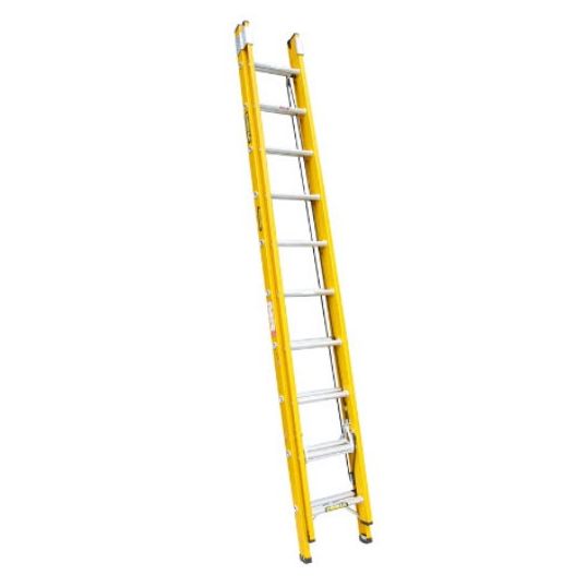 Gorilla_FEL10_17_I.jpg