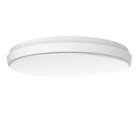 Haneco_Lighting\Haneco_DISC25W300R.jpg
