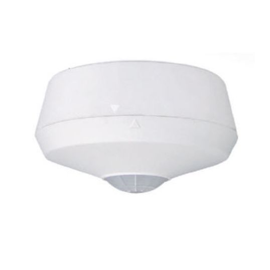 Housewatch\Housewatch_55_461.jpg Housewatch\Housewatch_55_461.jpg