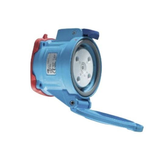 Marechal_6164017.jpg