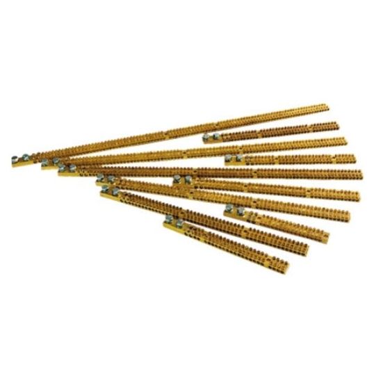 NHP_TGPEN.jpg