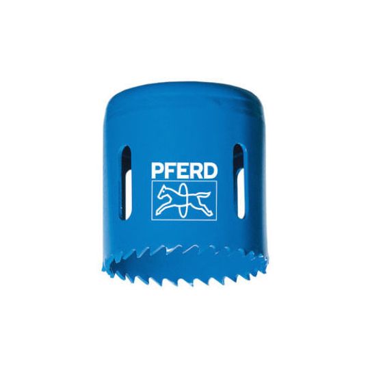 Pferd_ELS102.jpg