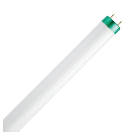 Philips_Alto.jpg