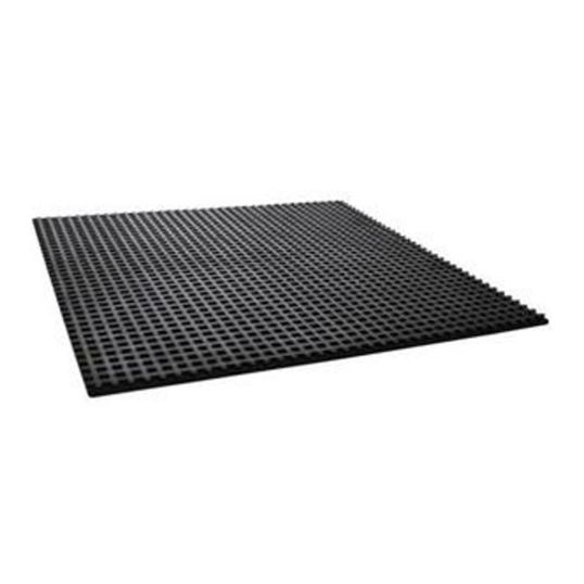 Rayflow_UMWP10.JPG