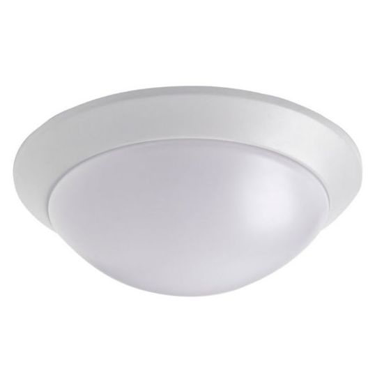 Robus_Oyster_LED.jpg