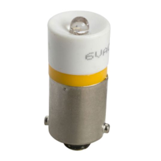 Schneider_DL1CJ0245.jpg