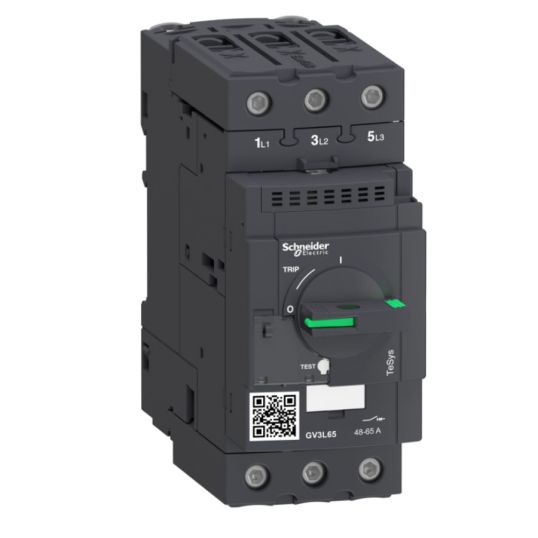 Schneider_GV3L65.jpg