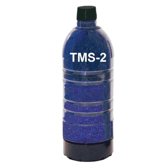 TMS_2_BLUE.jpg
