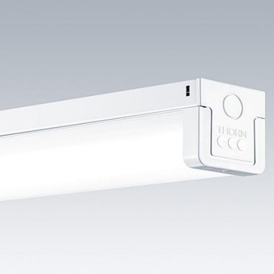 ThornEco_96649386.jpg