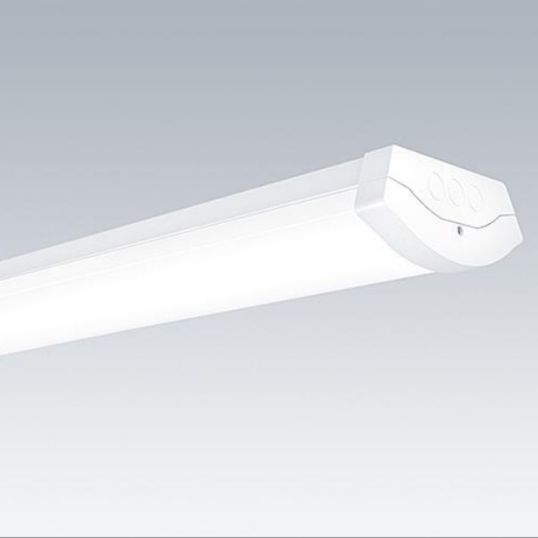 ThornEco_96650021.jpg