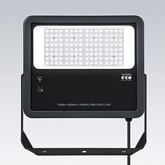 ThornEco_96651538.jpg