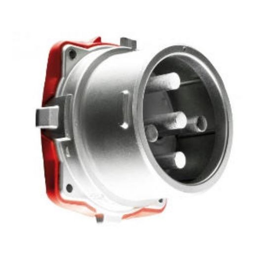 Marechal_3928017.jpg