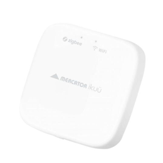 Mercator\Mercator_SGW002.JPG