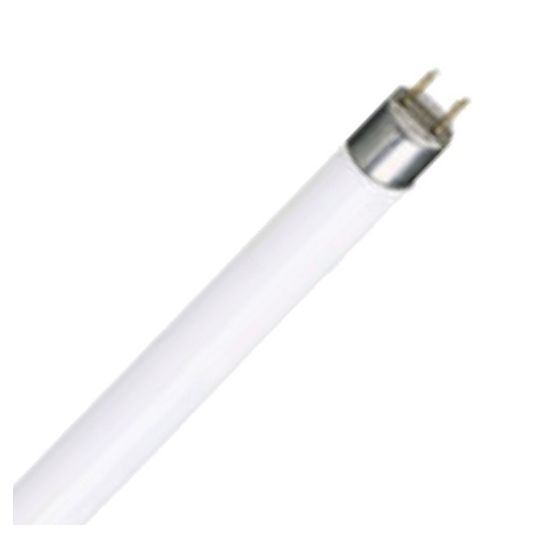 Philips_TLD.jpg