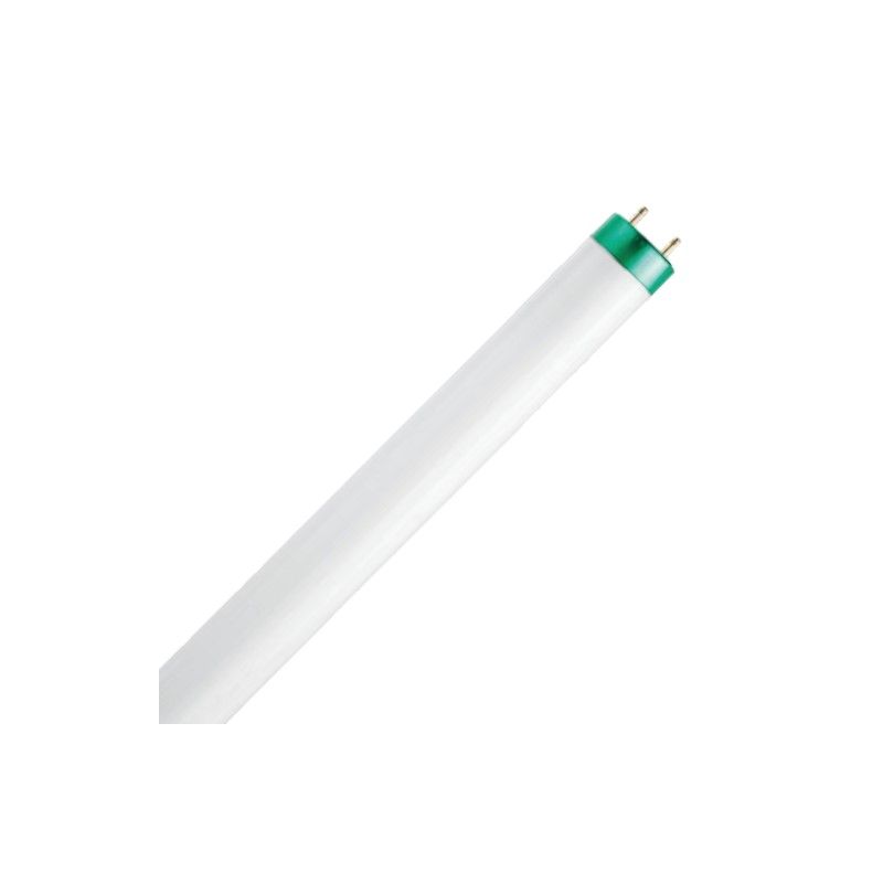 Philips Ampoule Tube Fluorescent Tube Culot G13 15 Watts 