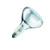 Philips_InfraRed_Lamp_Clear.jpg